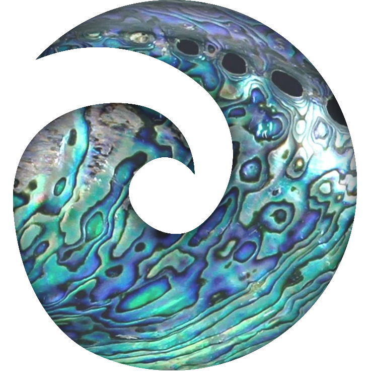 logo iue paua logo iue paua